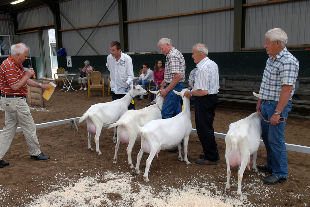 Geitenkeuring in Manege De Delft, van Geitenfokvereniging Assendelft e.o.