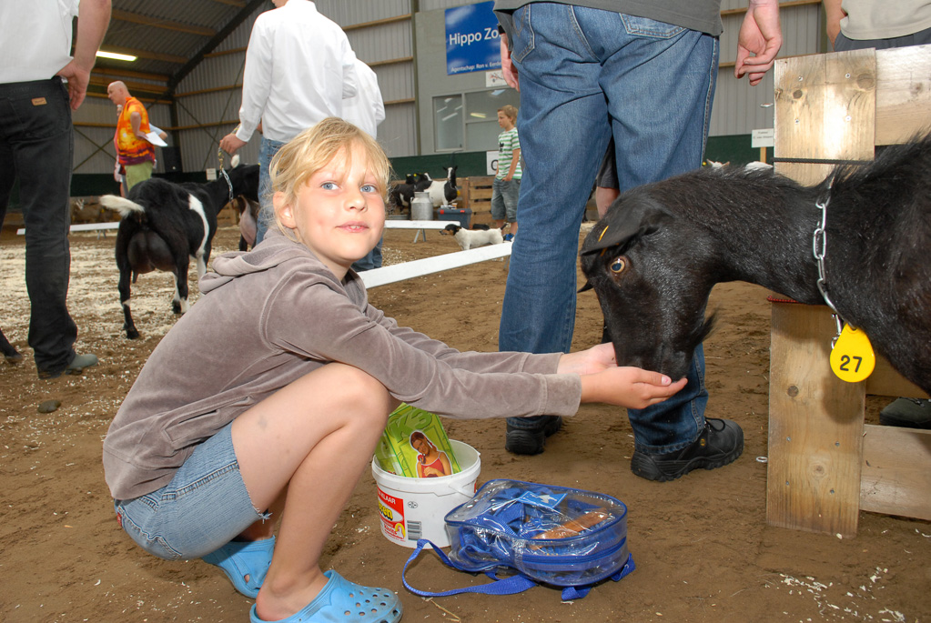 Geitenkeuring in Manege De Delft, van Geitenfokvereniging Assendelft e.o.