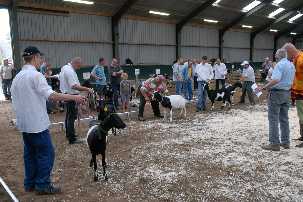 Geitenkeuring in Manege De Delft, van Geitenfokvereniging Assendelft e.o.