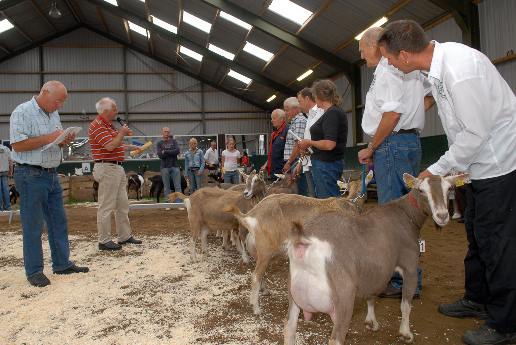 Geitenkeuring in Manege De Delft, van Geitenfokvereniging Assendelft e.o.