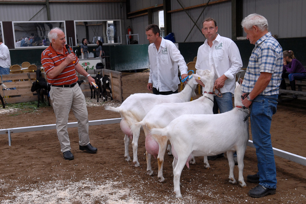 Geitenkeuring in Manege De Delft, van Geitenfokvereniging Assendelft e.o.