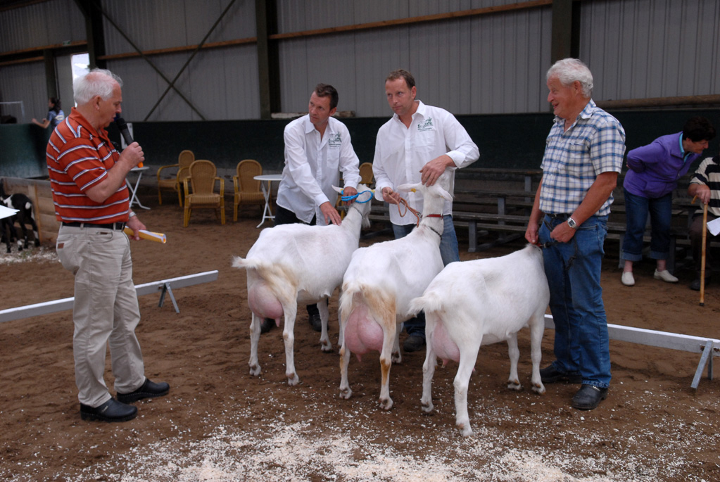 Geitenkeuring in Manege De Delft, van Geitenfokvereniging Assendelft e.o.