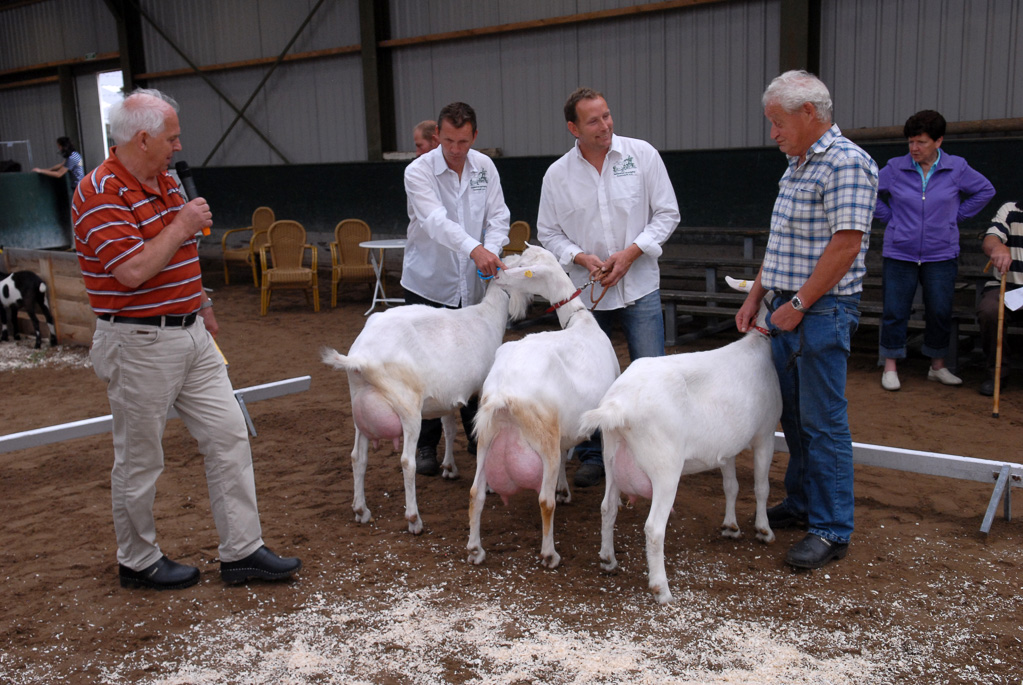Geitenkeuring in Manege De Delft, van Geitenfokvereniging Assendelft e.o.