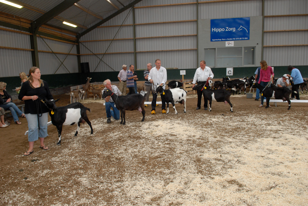 Geitenkeuring in Manege De Delft, van Geitenfokvereniging Assendelft e.o.