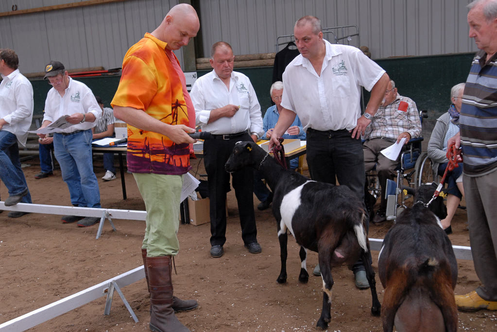 Geitenkeuring in Manege De Delft, van Geitenfokvereniging Assendelft e.o.