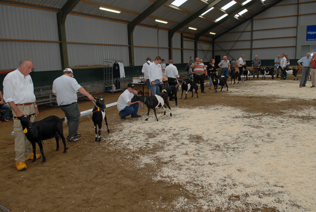 Geitenkeuring in Manege De Delft, van Geitenfokvereniging Assendelft e.o.