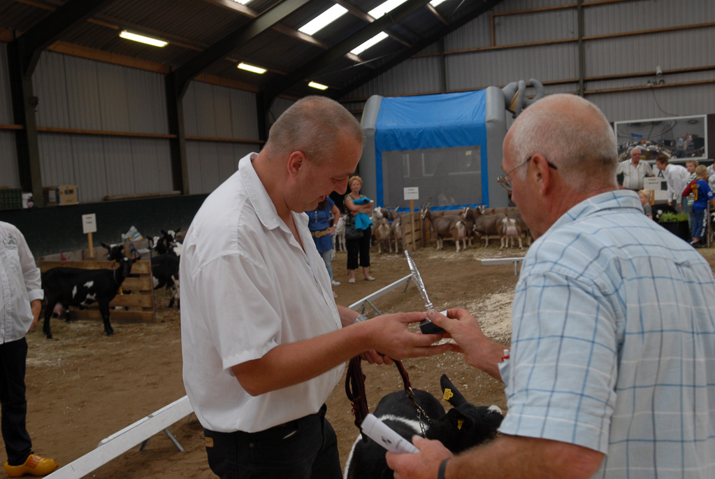 Geitenkeuring in Manege De Delft, van Geitenfokvereniging Assendelft e.o.