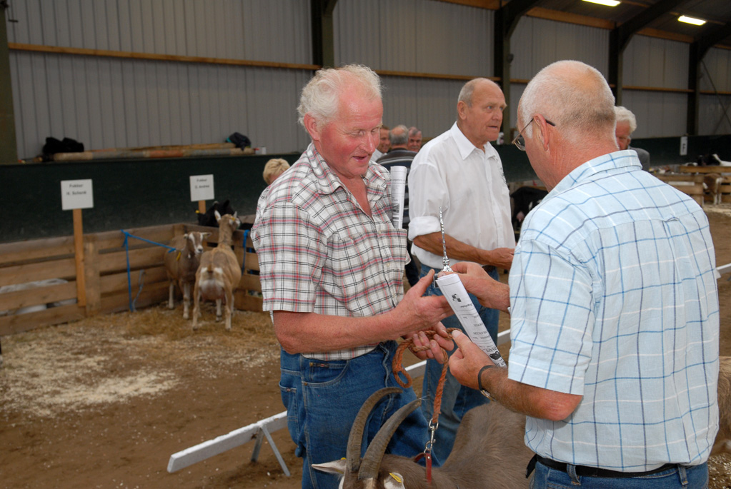 Geitenkeuring in Manege De Delft, van Geitenfokvereniging Assendelft e.o.