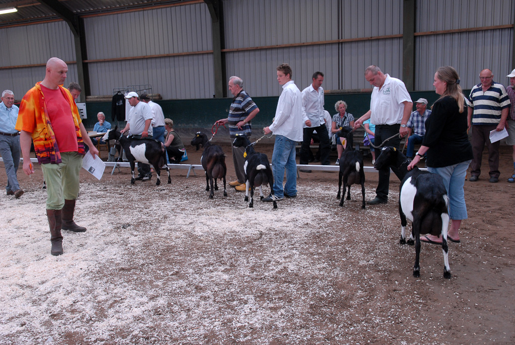 Geitenkeuring in Manege De Delft, van Geitenfokvereniging Assendelft e.o.