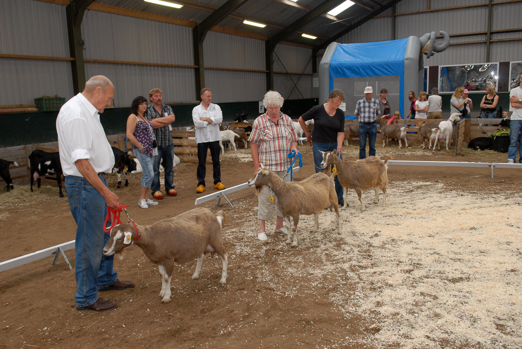 Geitenkeuring in Manege De Delft, van Geitenfokvereniging Assendelft e.o.