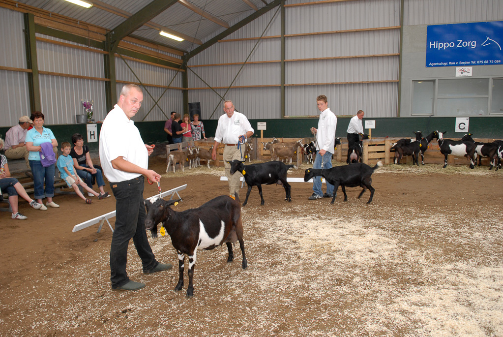 Geitenkeuring in Manege De Delft, van Geitenfokvereniging Assendelft e.o.