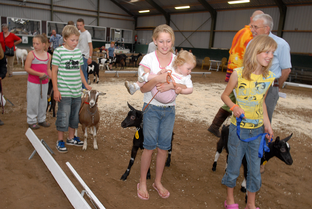 Geitenkeuring in Manege De Delft, van Geitenfokvereniging Assendelft e.o.
