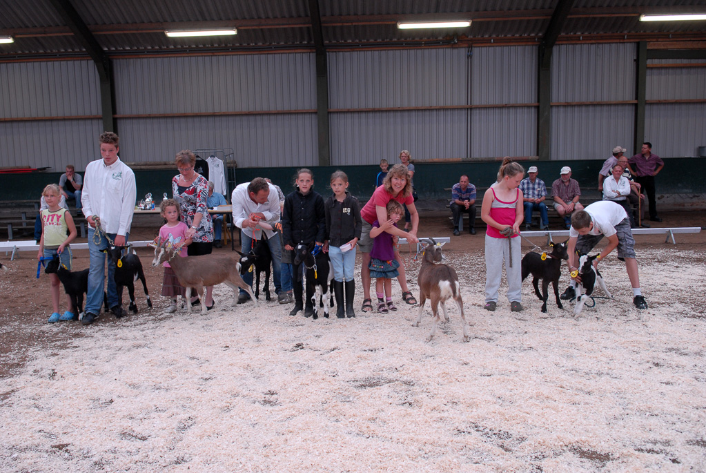 Geitenkeuring in Manege De Delft, van Geitenfokvereniging Assendelft e.o.