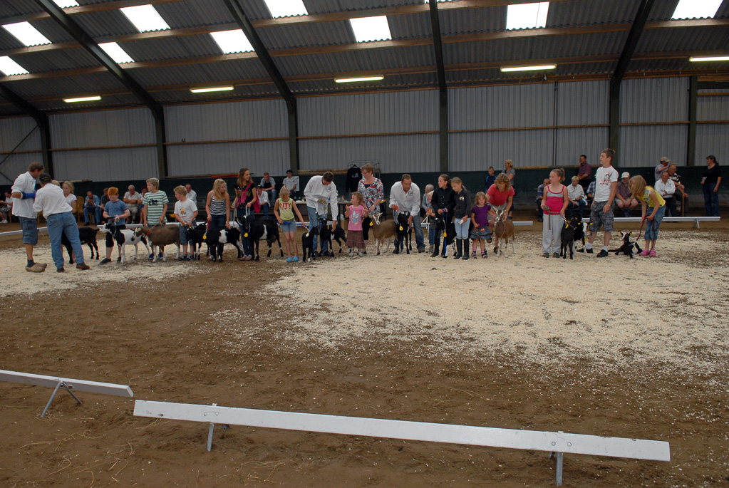 Geitenkeuring in Manege De Delft, van Geitenfokvereniging Assendelft e.o.