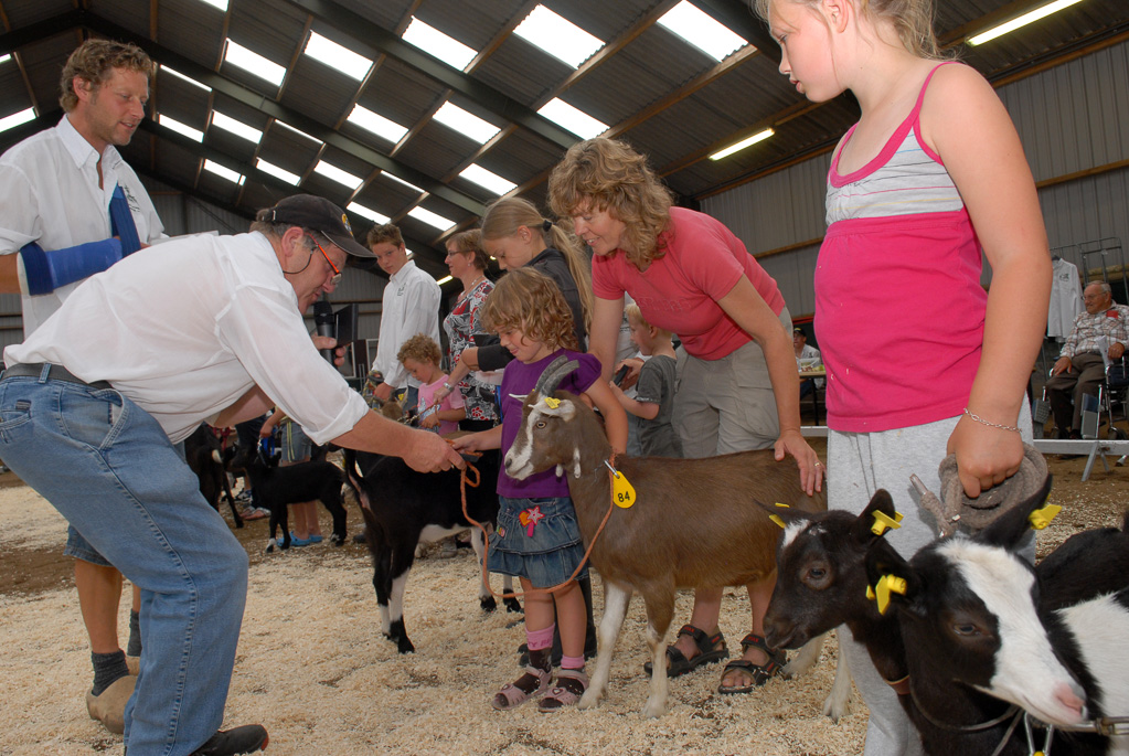 Geitenkeuring in Manege De Delft, van Geitenfokvereniging Assendelft e.o.