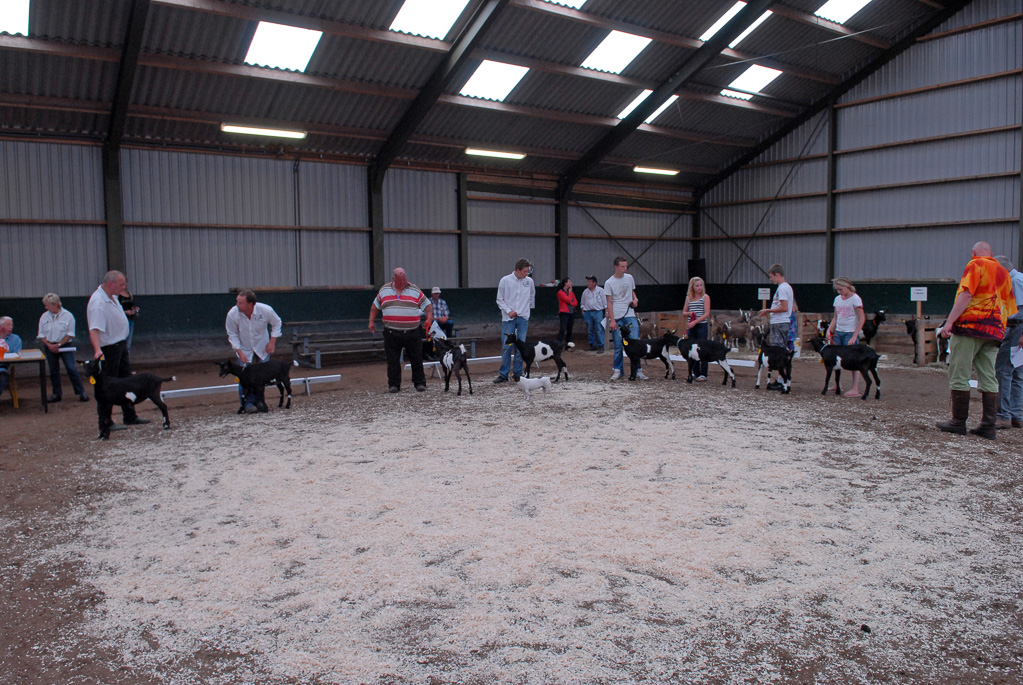 Geitenkeuring in Manege De Delft, van Geitenfokvereniging Assendelft e.o.