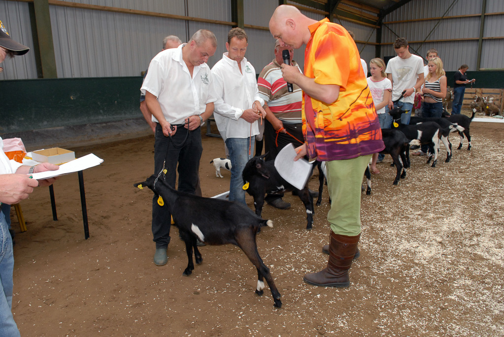 Geitenkeuring in Manege De Delft, van Geitenfokvereniging Assendelft e.o.