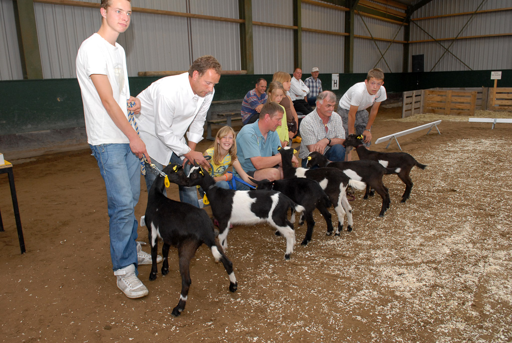 Geitenkeuring in Manege De Delft, van Geitenfokvereniging Assendelft e.o.