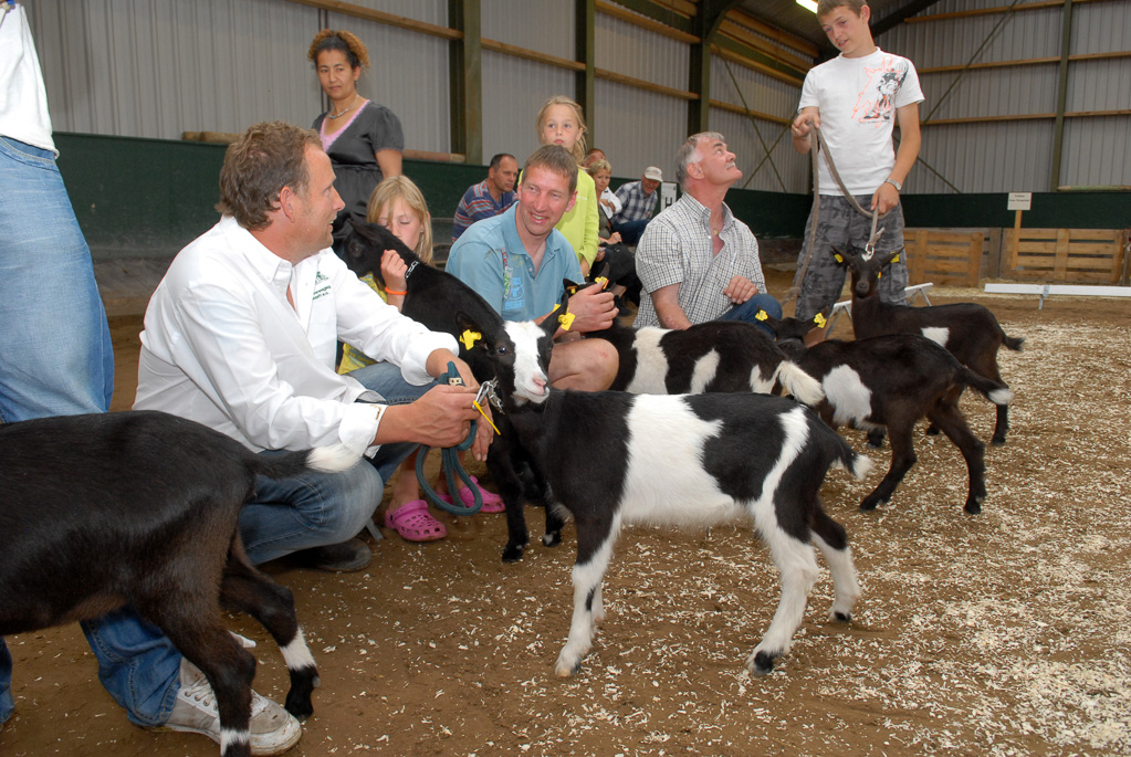 Geitenkeuring in Manege De Delft, van Geitenfokvereniging Assendelft e.o.