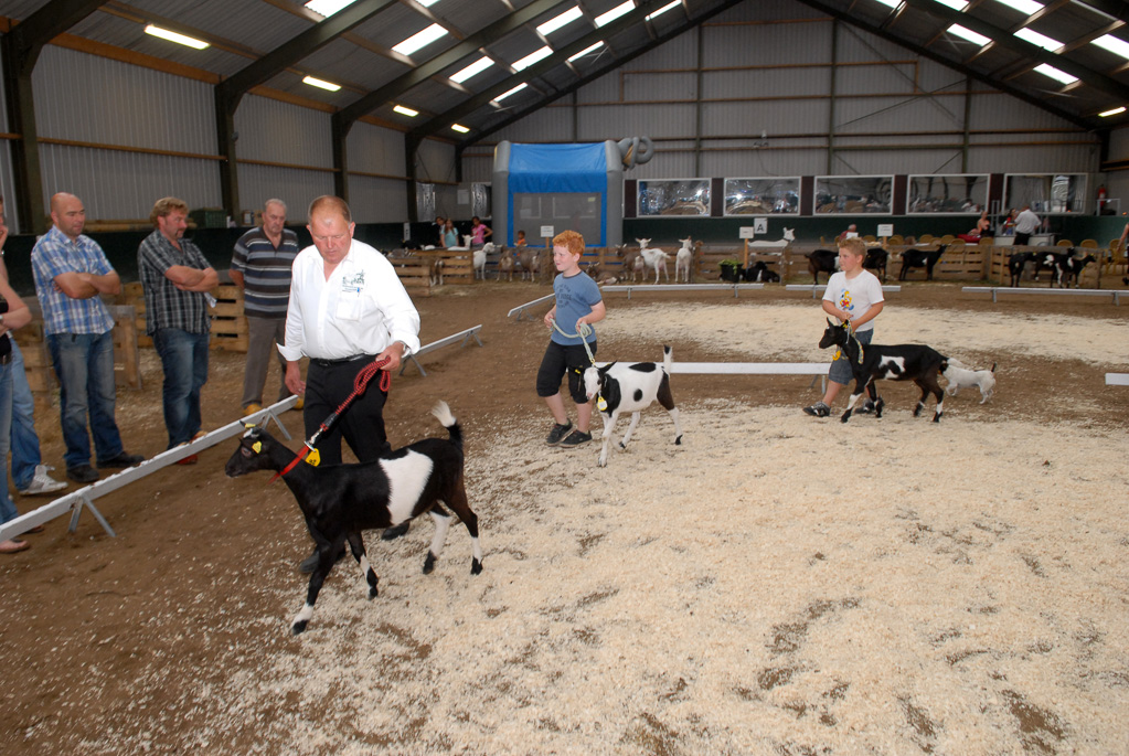 Geitenkeuring in Manege De Delft, van Geitenfokvereniging Assendelft e.o.