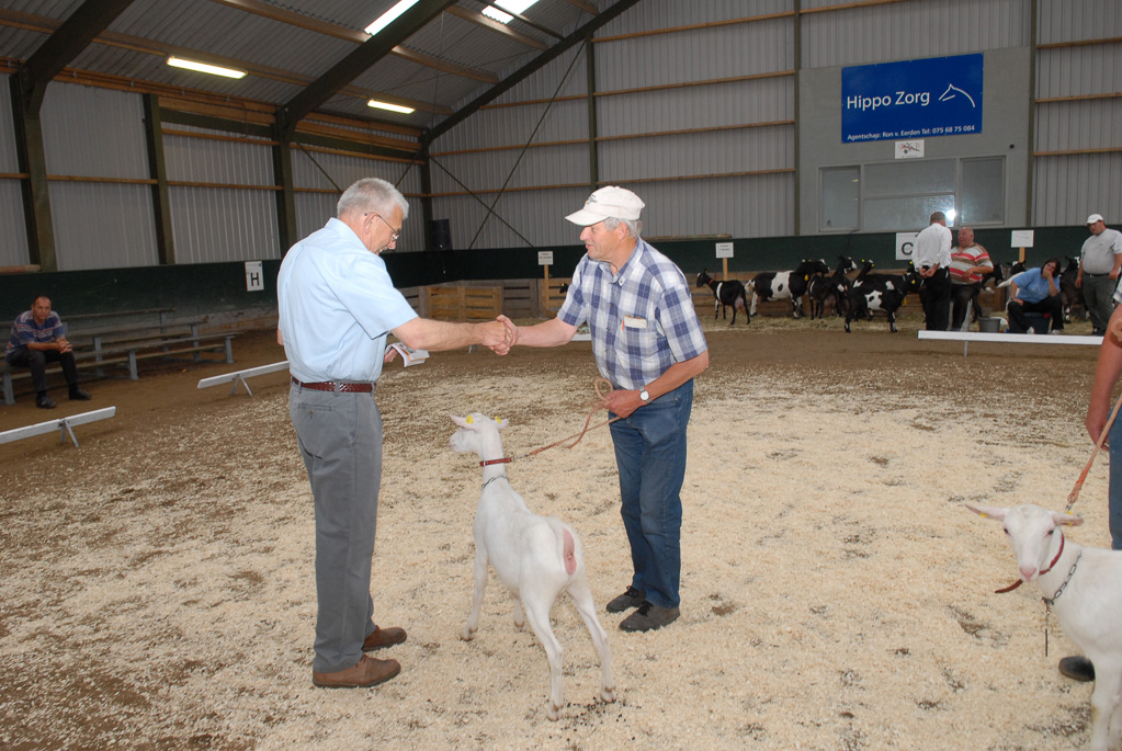 Geitenkeuring in Manege De Delft, van Geitenfokvereniging Assendelft e.o.