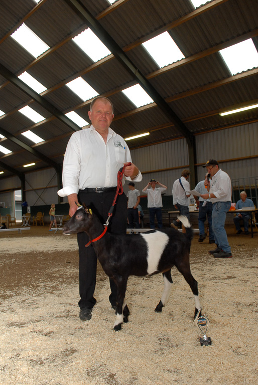 Geitenkeuring in Manege De Delft, van Geitenfokvereniging Assendelft e.o.