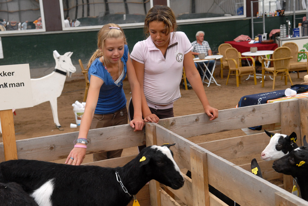 Geitenkeuring in Manege De Delft, van Geitenfokvereniging Assendelft e.o.