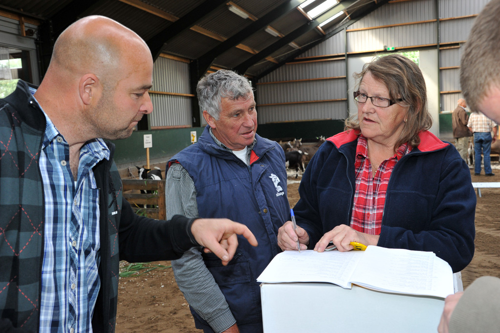 Geitenkeuring van Geitenfokvereniging Assendelft eo in Manege De Delft