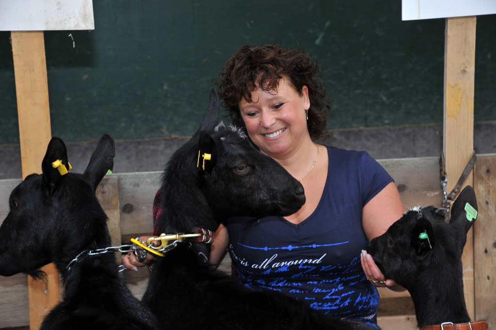 Geitenkeuring van Geitenfokvereniging Assendelft eo in Manege De Delft
