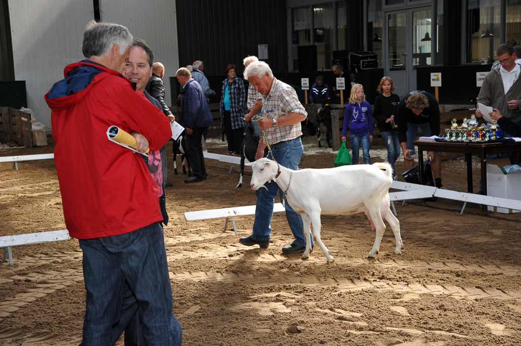 Geitenkeuring van Geitenfokvereniging Assendelft eo in Manege De Delft