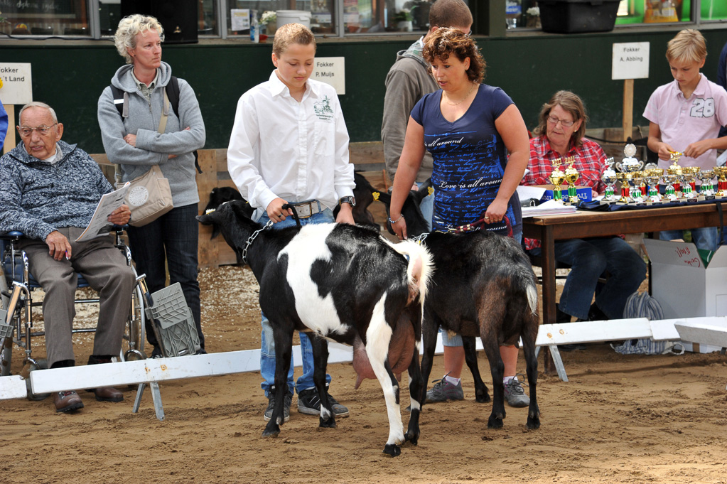 Geitenkeuring van Geitenfokvereniging Assendelft eo in Manege De Delft