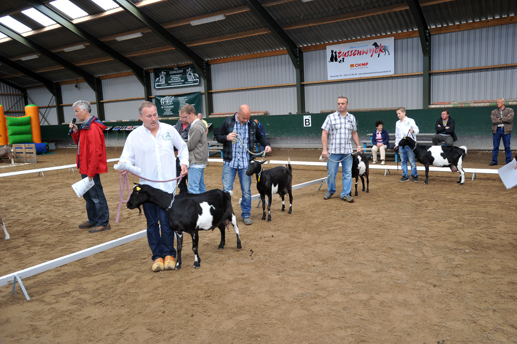 Geitenkeuring van Geitenfokvereniging Assendelft eo in Manege De Delft