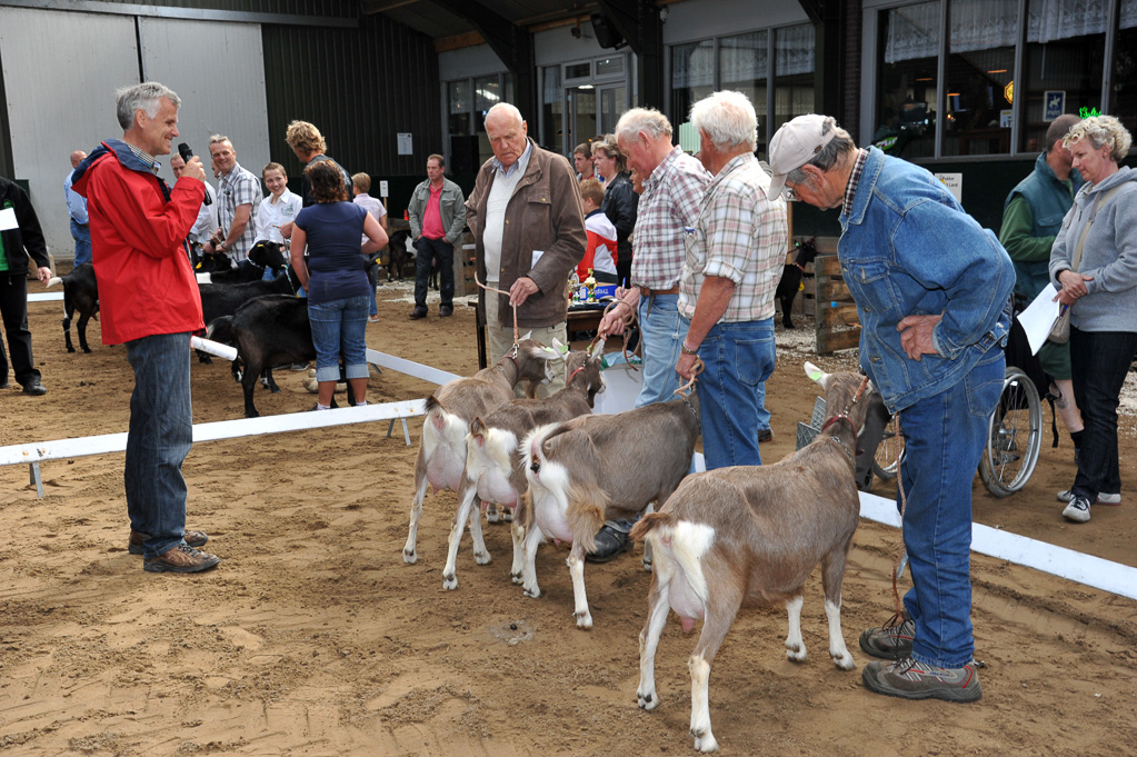 Geitenkeuring van Geitenfokvereniging Assendelft eo in Manege De Delft