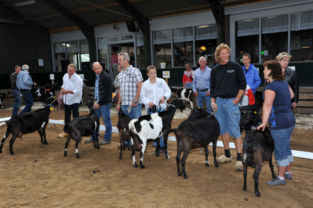 Geitenkeuring van Geitenfokvereniging Assendelft eo in Manege De Delft