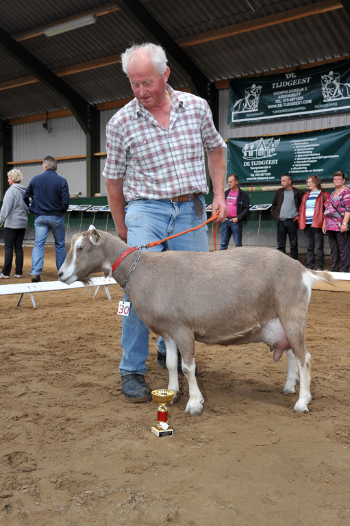 Geitenkeuring van Geitenfokvereniging Assendelft eo in Manege De Delft