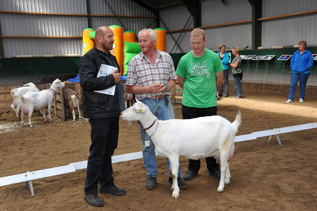 Geitenkeuring van Geitenfokvereniging Assendelft eo in Manege De Delft