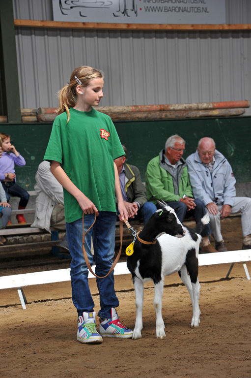 Geitenkeuring van Geitenfokvereniging Assendelft eo in Manege De Delft