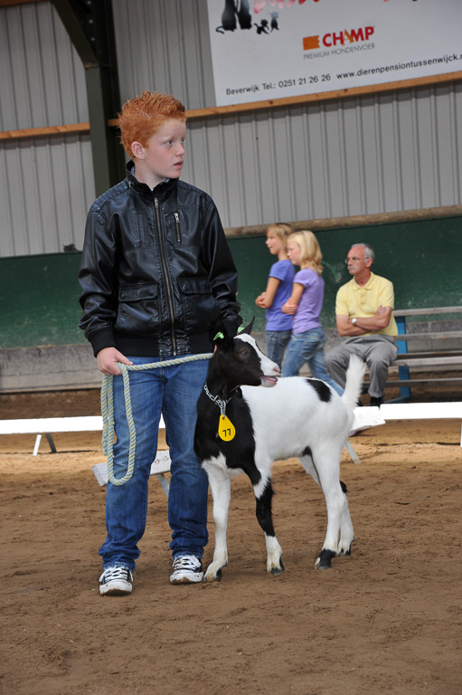 Geitenkeuring van Geitenfokvereniging Assendelft eo in Manege De Delft