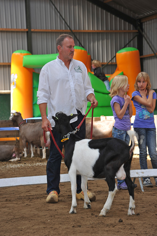 Geitenkeuring van Geitenfokvereniging Assendelft eo in Manege De Delft