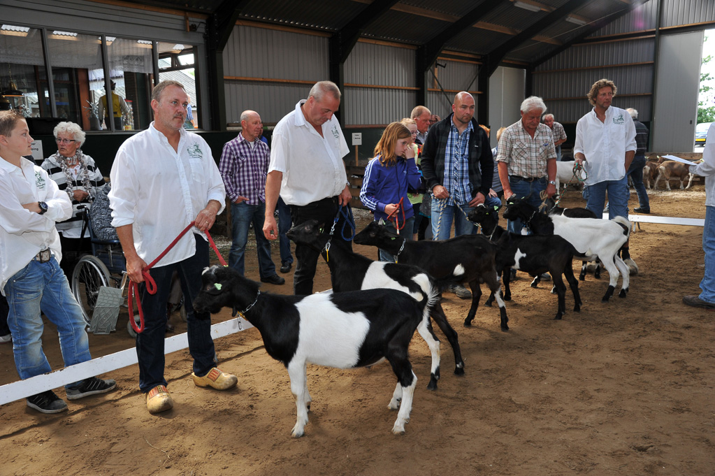 Geitenkeuring van Geitenfokvereniging Assendelft eo in Manege De Delft