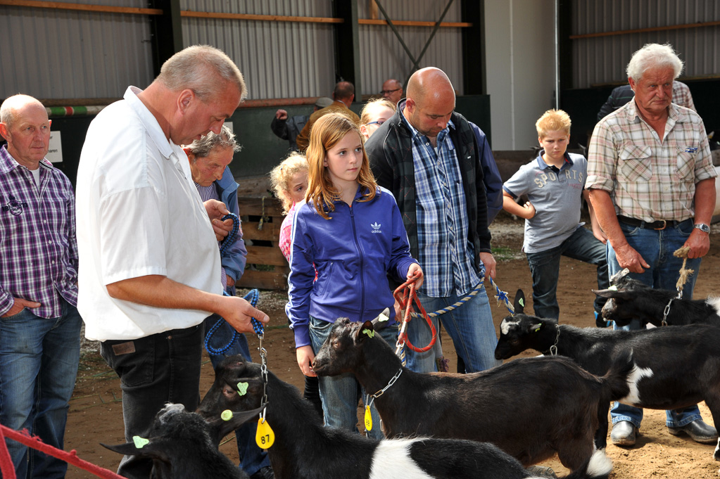 Geitenkeuring van Geitenfokvereniging Assendelft eo in Manege De Delft