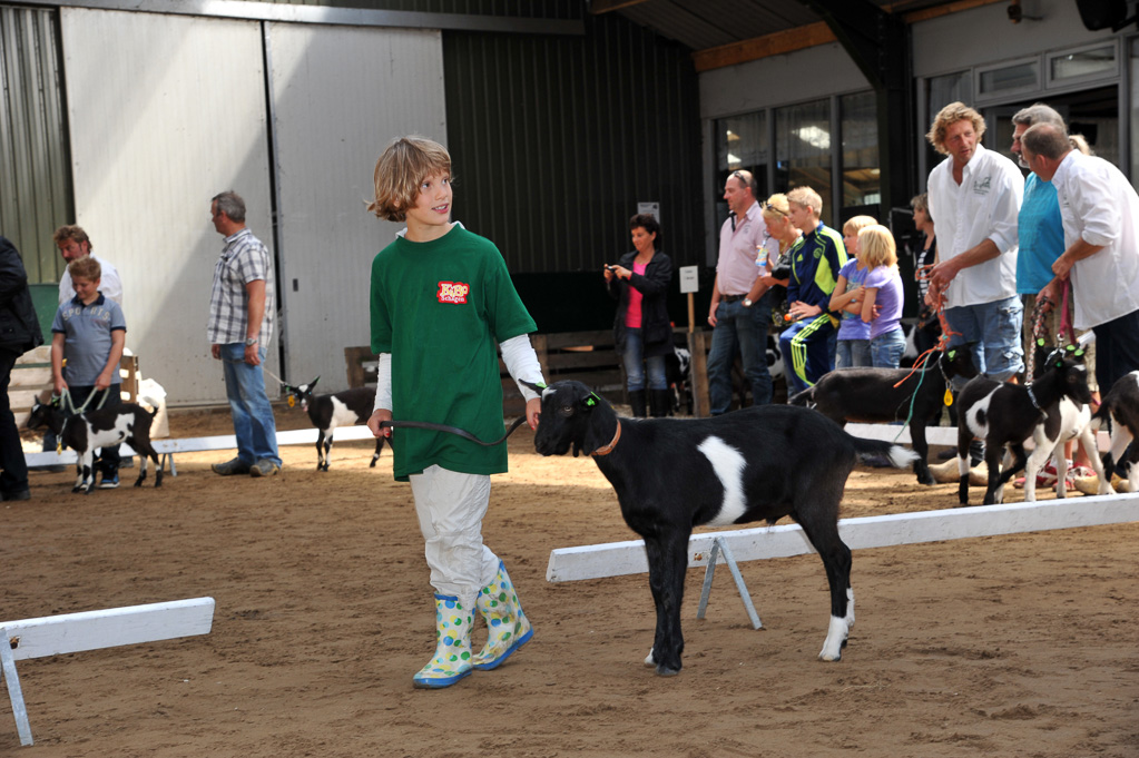 Geitenkeuring van Geitenfokvereniging Assendelft eo in Manege De Delft