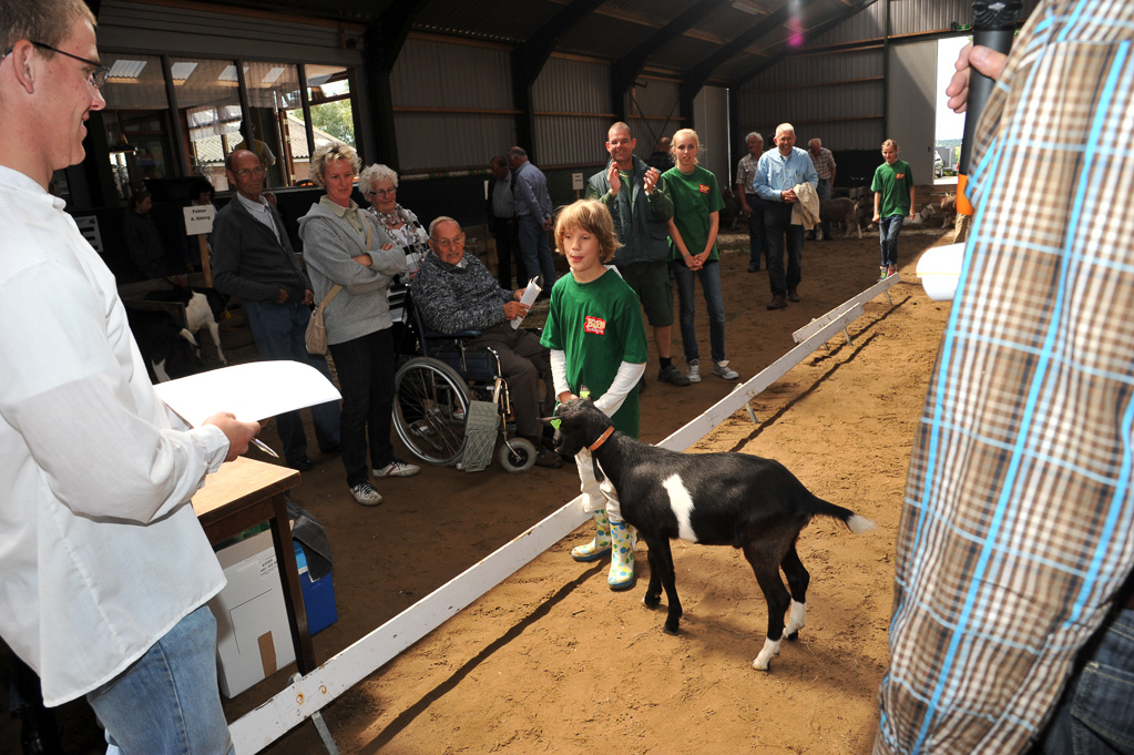 Geitenkeuring van Geitenfokvereniging Assendelft eo in Manege De Delft