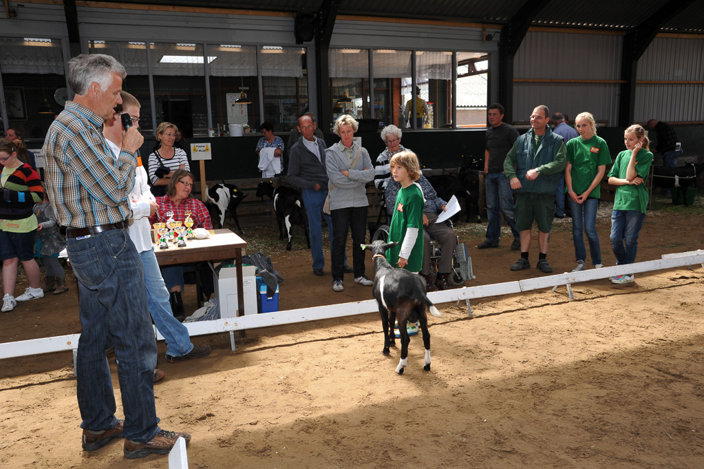 Geitenkeuring van Geitenfokvereniging Assendelft eo in Manege De Delft