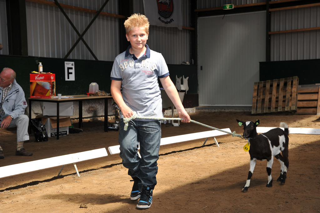 Geitenkeuring van Geitenfokvereniging Assendelft eo in Manege De Delft