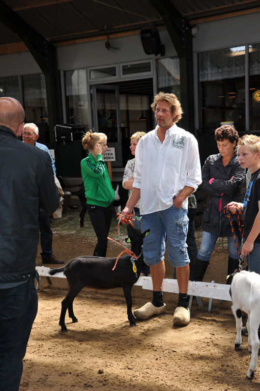 Geitenkeuring van Geitenfokvereniging Assendelft eo in Manege De Delft