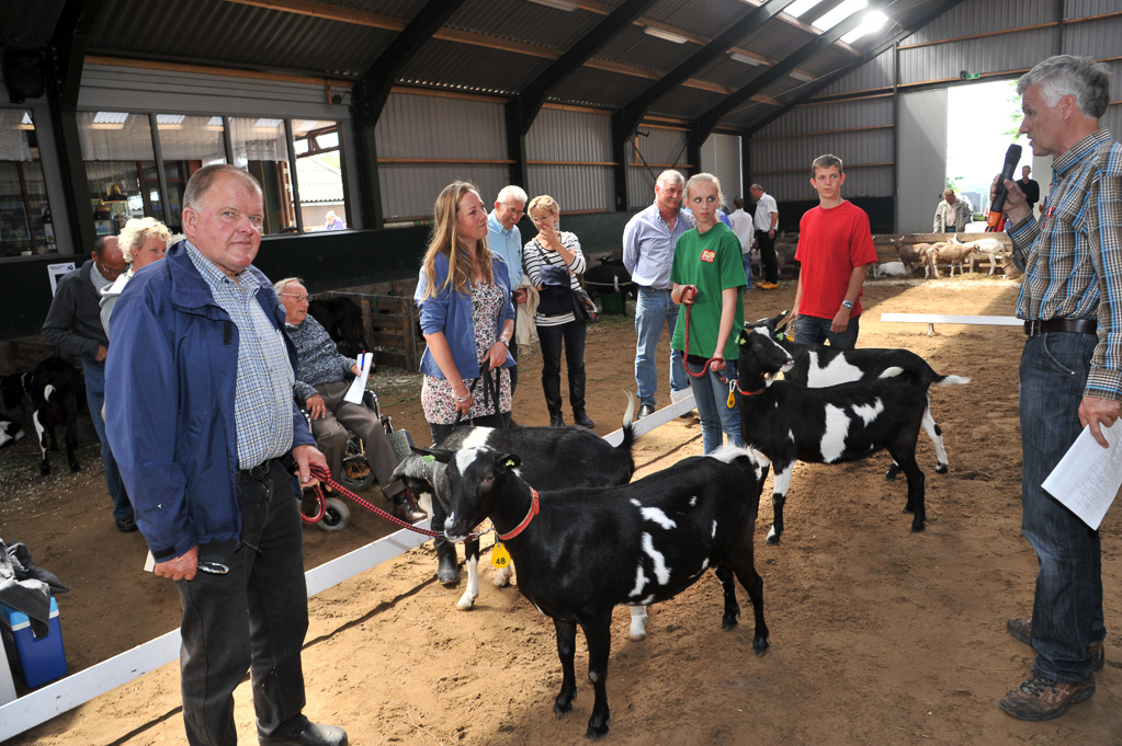 Geitenkeuring van Geitenfokvereniging Assendelft eo in Manege De Delft