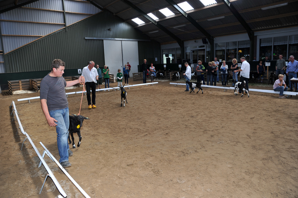 Geitenkeuring van Geitenfokvereniging Assendelft eo in Manege De Delft