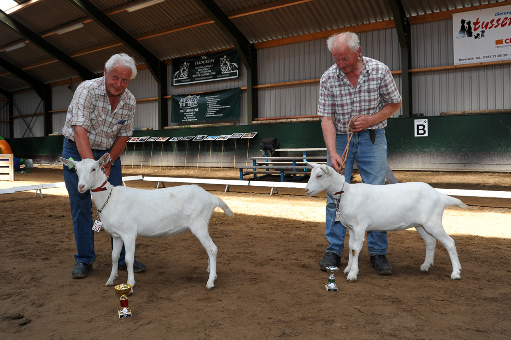 Geitenkeuring van Geitenfokvereniging Assendelft eo in Manege De Delft