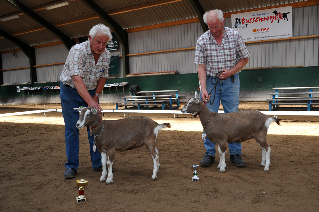 Geitenkeuring van Geitenfokvereniging Assendelft eo in Manege De Delft